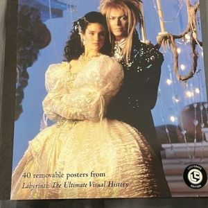 Labyrinth poster book